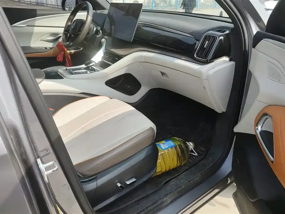 BYD Pro New Energy 2023 из CN, фото 8