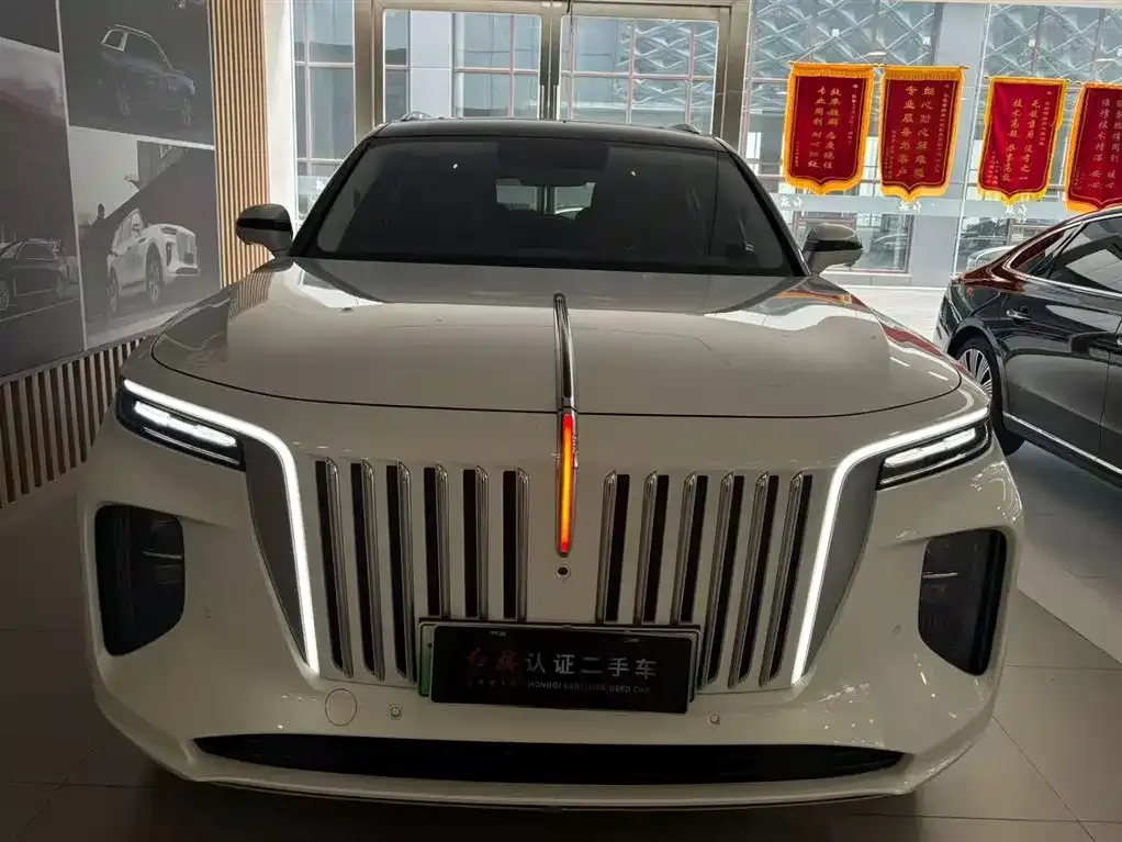Hongqi E-HS9 2023 из CN, фото 5