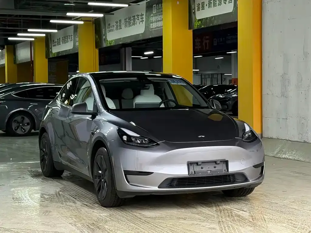 Tesla Model Y — фото 10