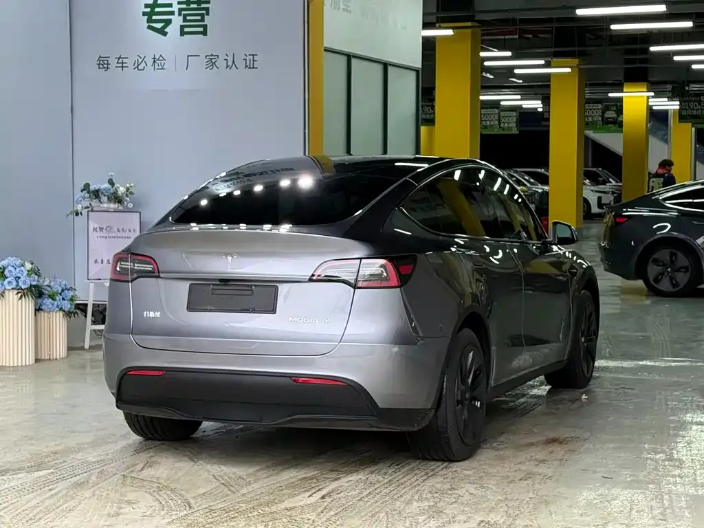 Tesla Model Y — фото 5