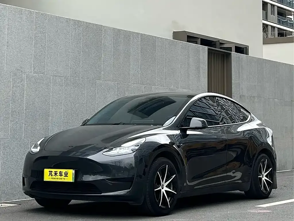 Tesla Model Y 2023 из CN, фото 1