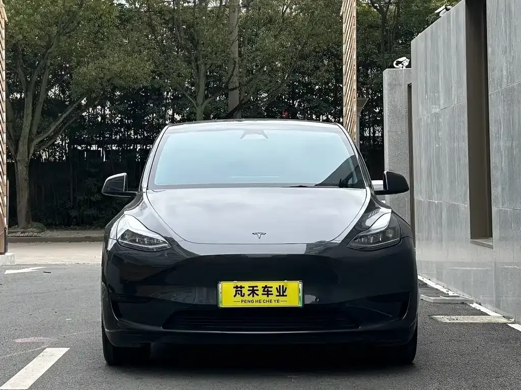 Tesla Model Y 2023 из CN, фото 4