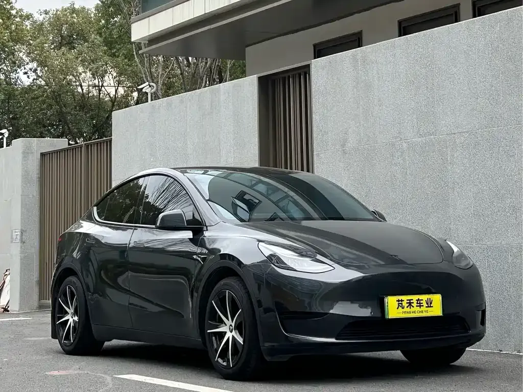 Tesla Model Y 2023 из CN, фото 6