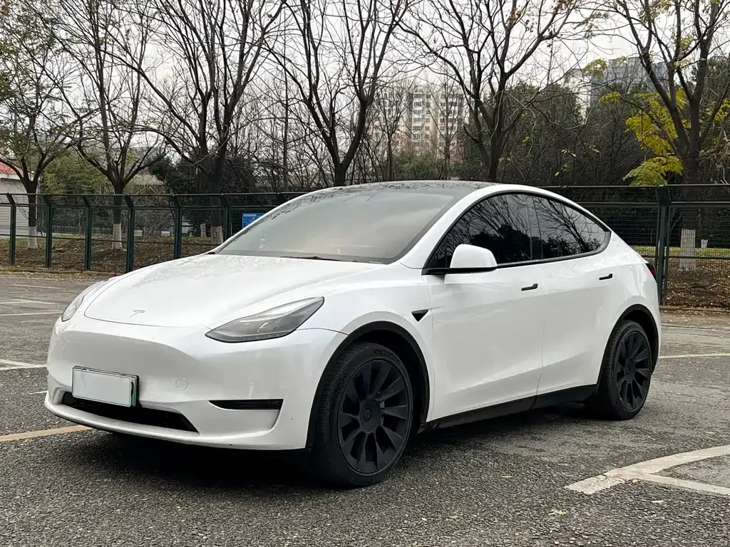 Tesla Model Y — фото 1
