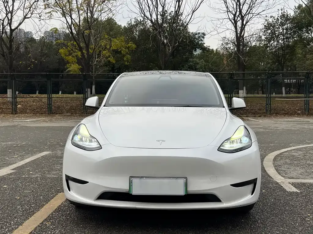Tesla Model Y — фото 8