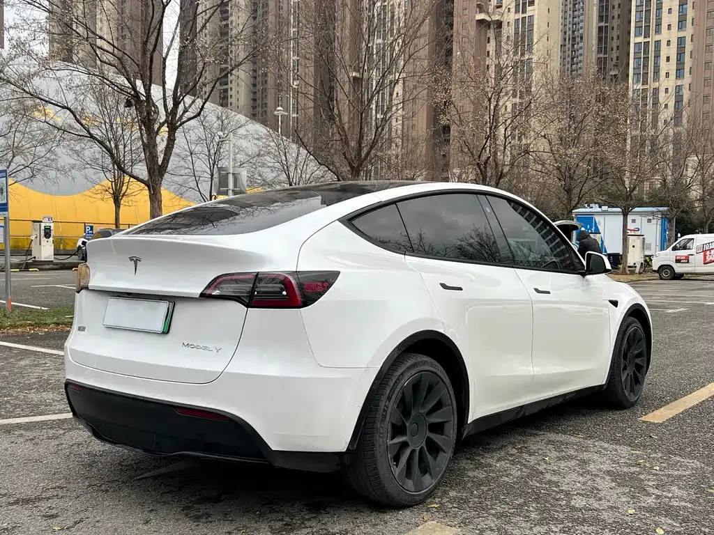 Tesla Model Y — фото 10