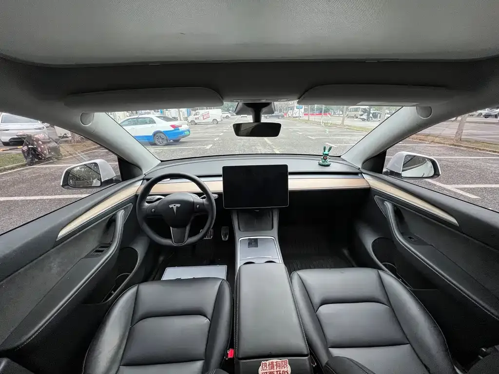 Tesla Model Y — фото 2
