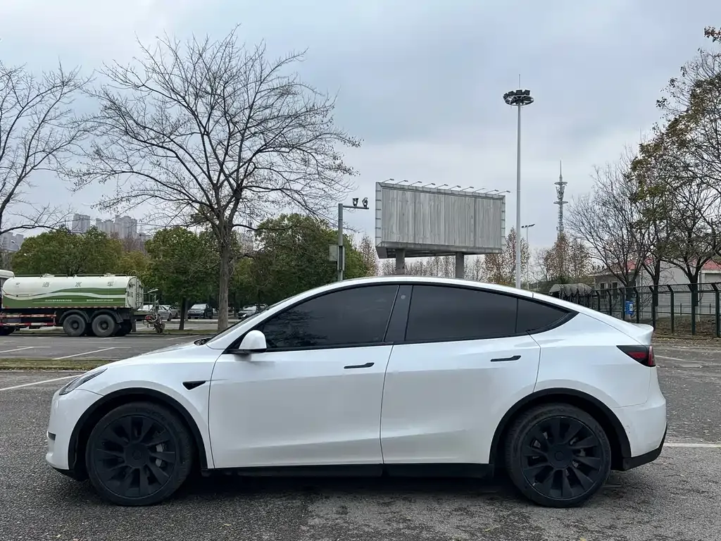 Tesla Model Y — фото 9