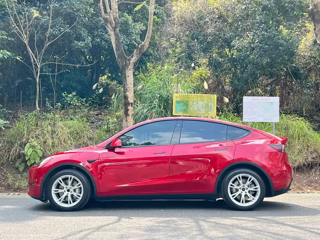 Tesla Model Y — фото 9