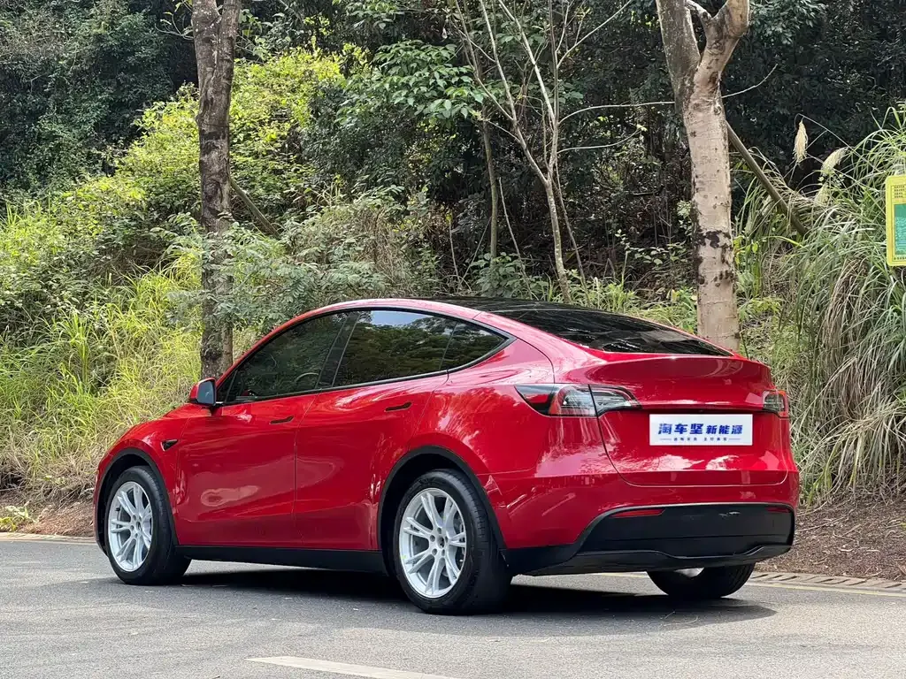 Tesla Model Y — фото 4