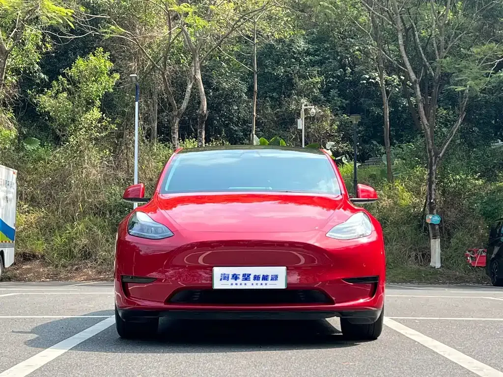 Tesla Model Y — фото 8