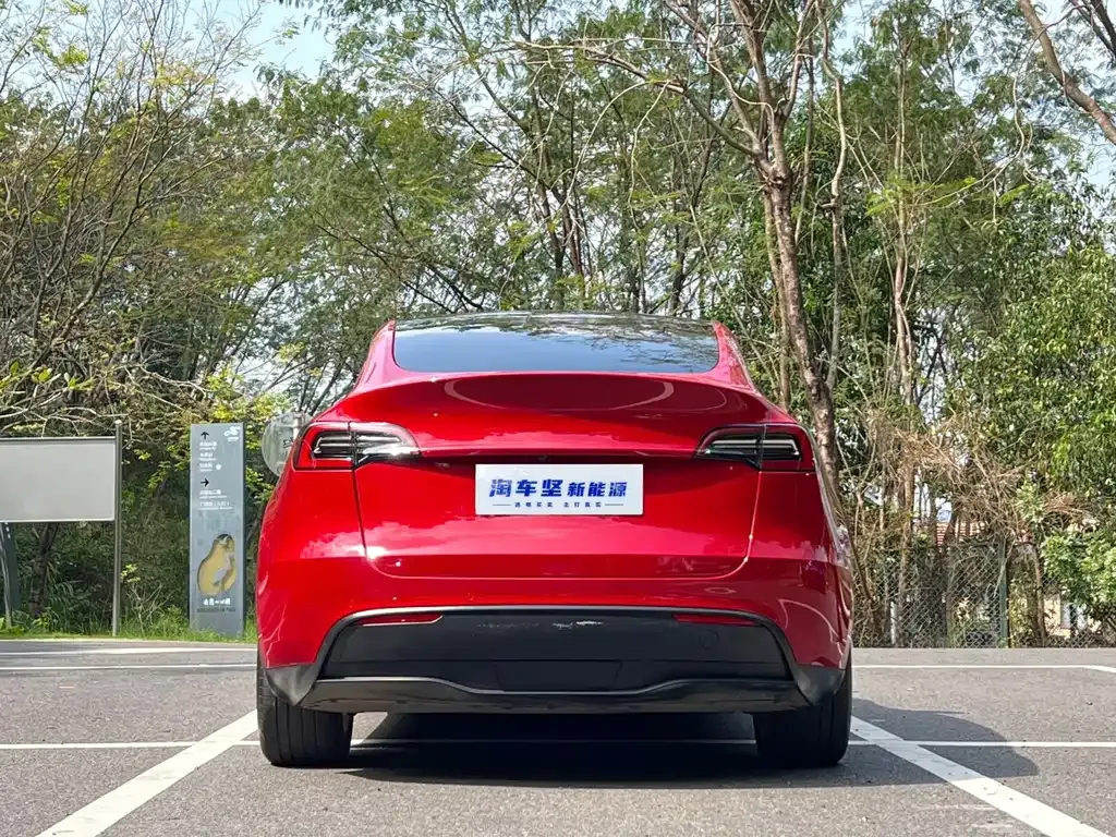 Tesla Model Y — фото 6