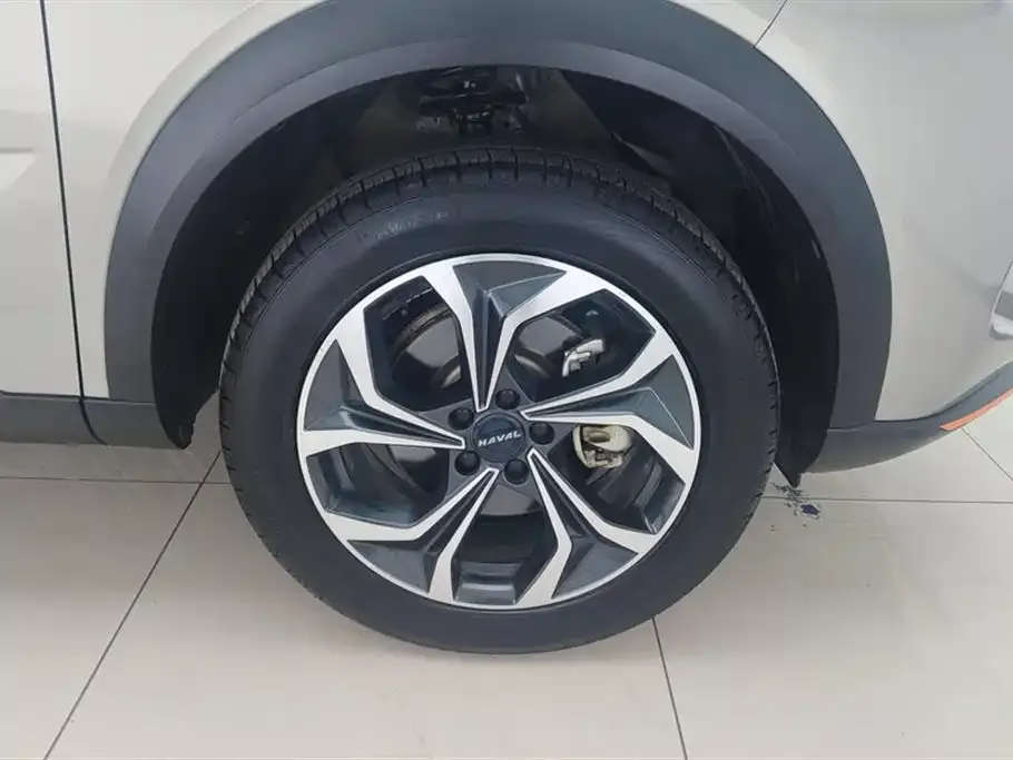 Haval Shenshou 2022 из CN, фото 4