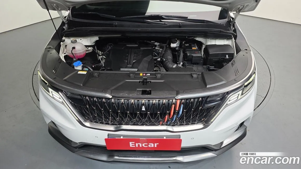Kia Carnival — фото 10
