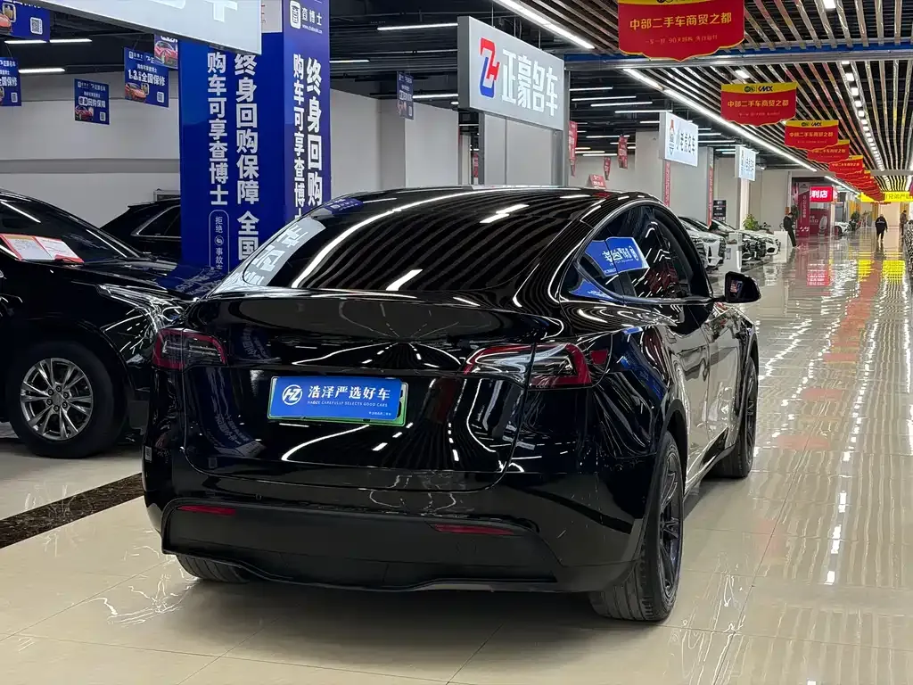 Tesla Model Y — фото 9