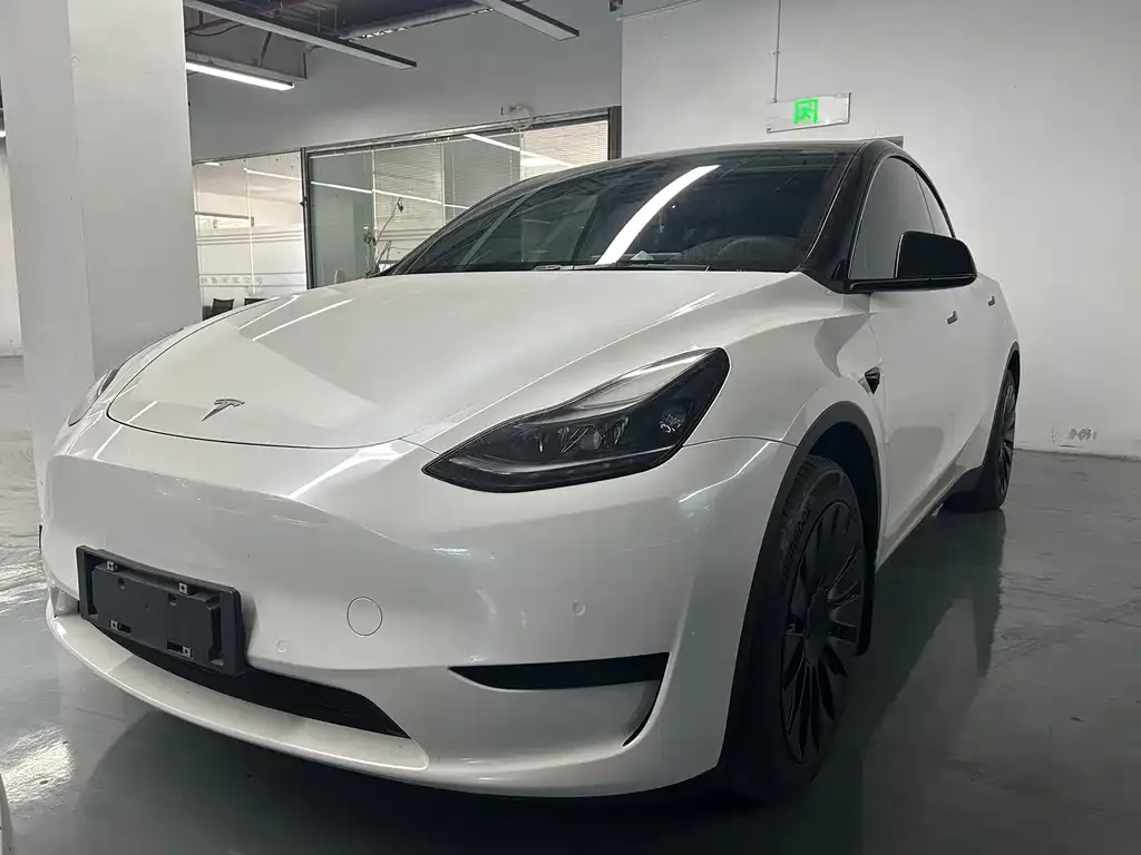Tesla Model Y — фото 1