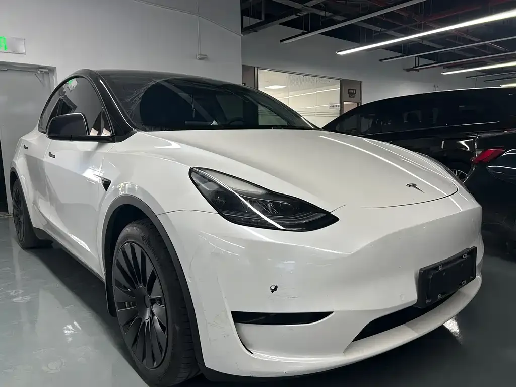 Tesla Model Y — фото 9