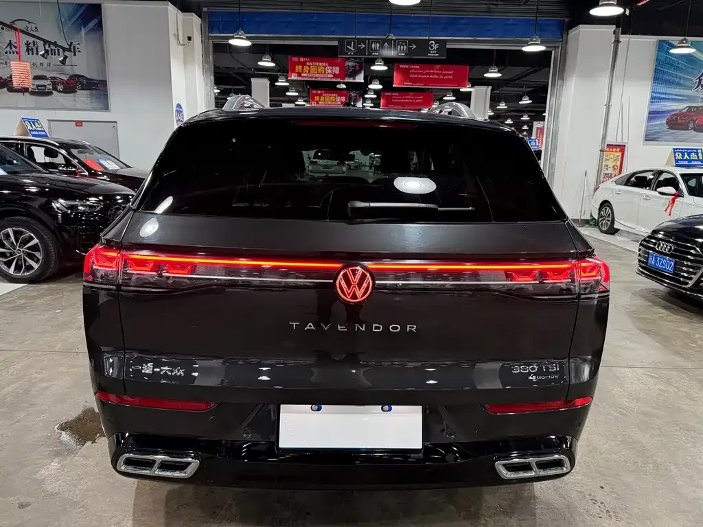 Volkswagen Tavendor 2023 из CN, фото 5
