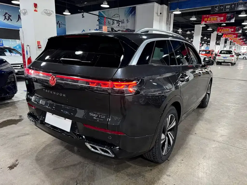 Volkswagen Tavendor 2023 из CN, фото 3