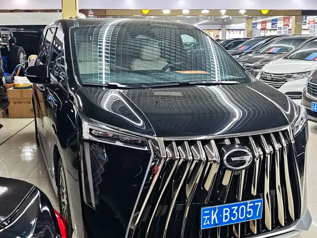 GAC Motor Trumpchi M8 — фото 3
