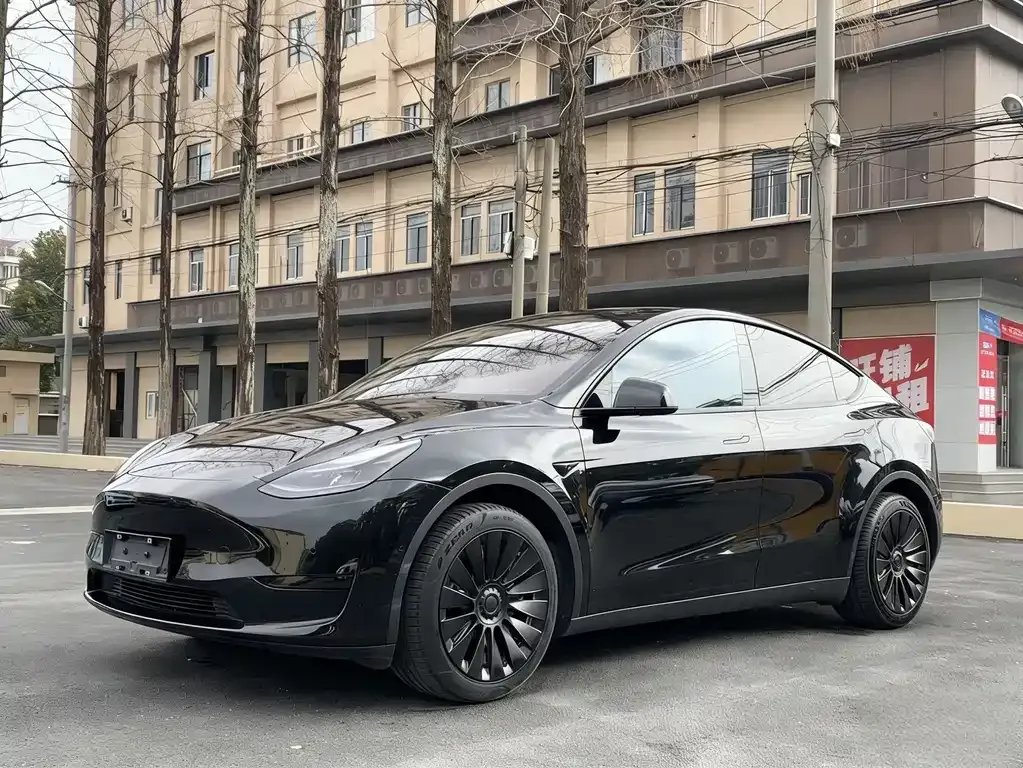 Tesla Model Y — фото 1