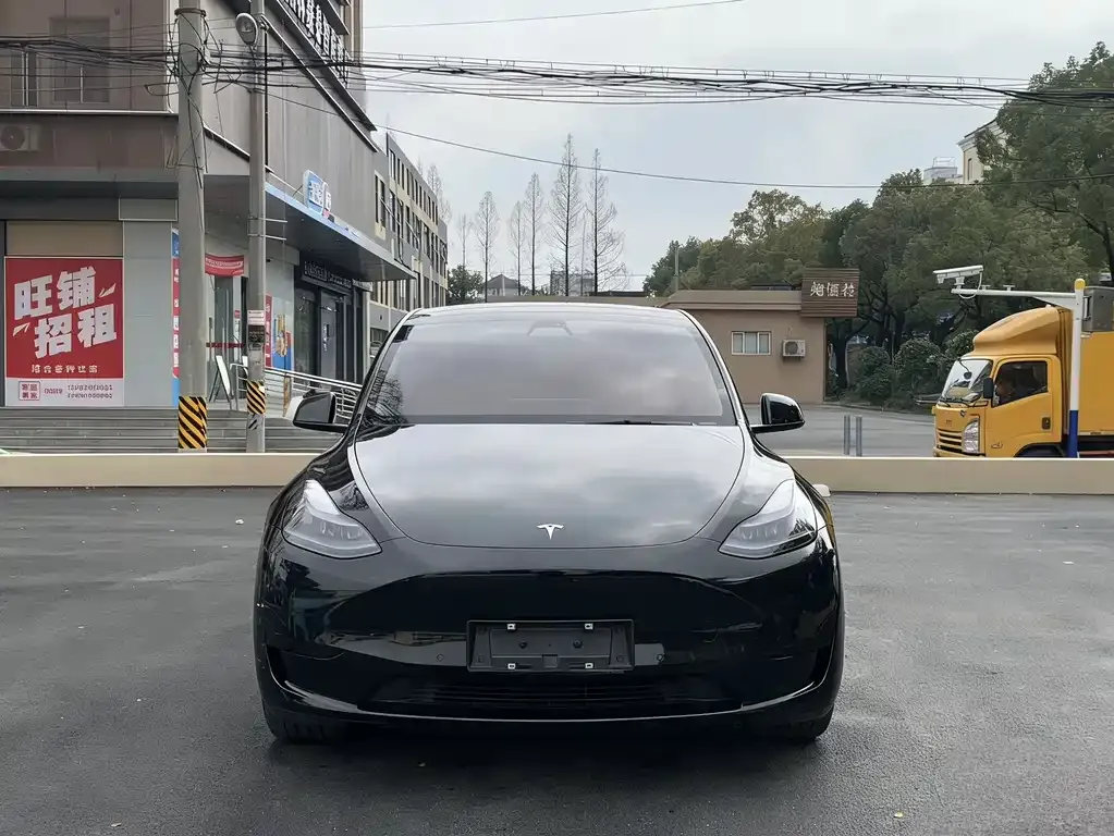 Tesla Model Y — фото 5