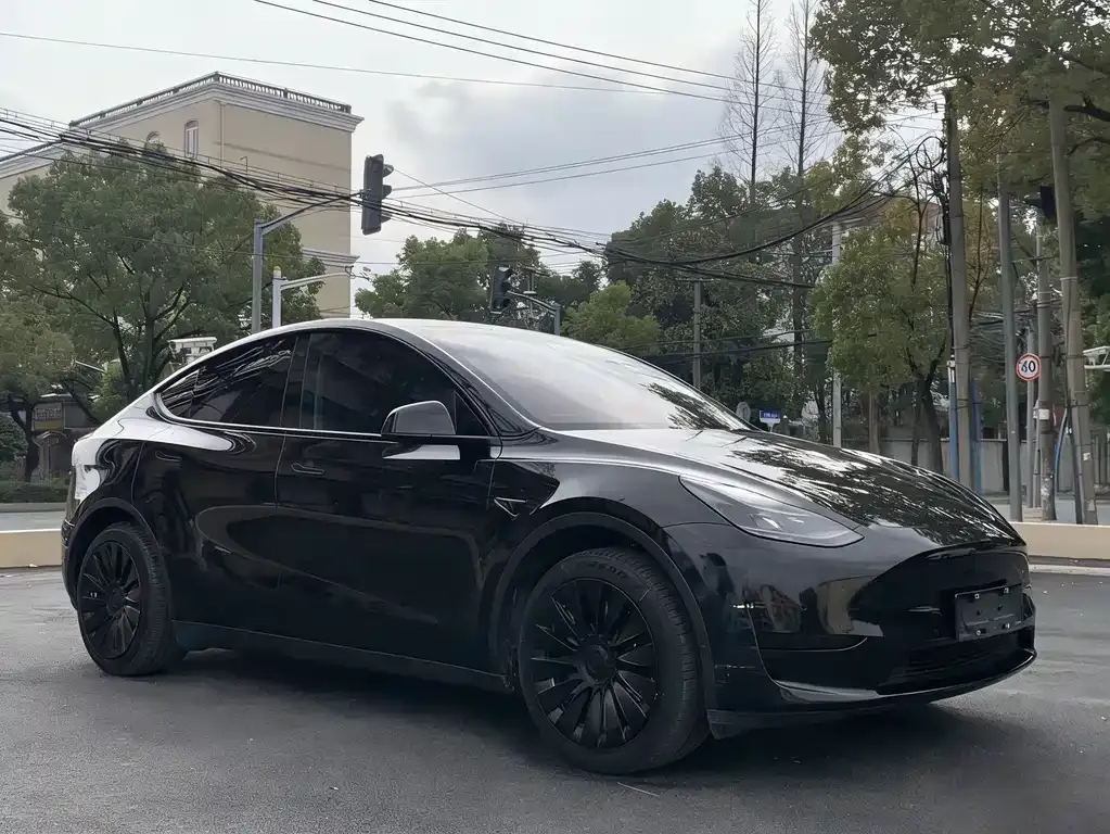 Tesla Model Y — фото 3