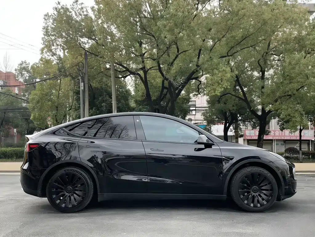Tesla Model Y — фото 9