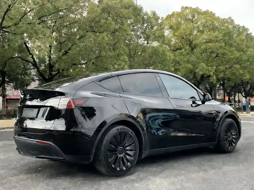 Tesla Model Y — фото 8