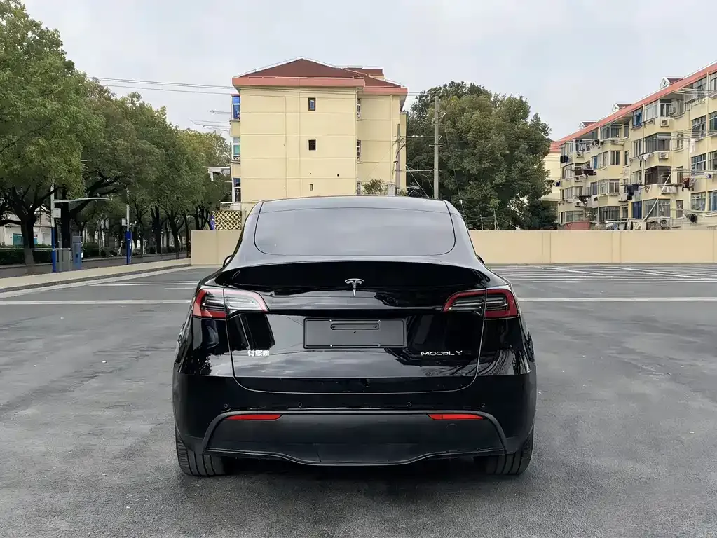 Tesla Model Y — фото 7