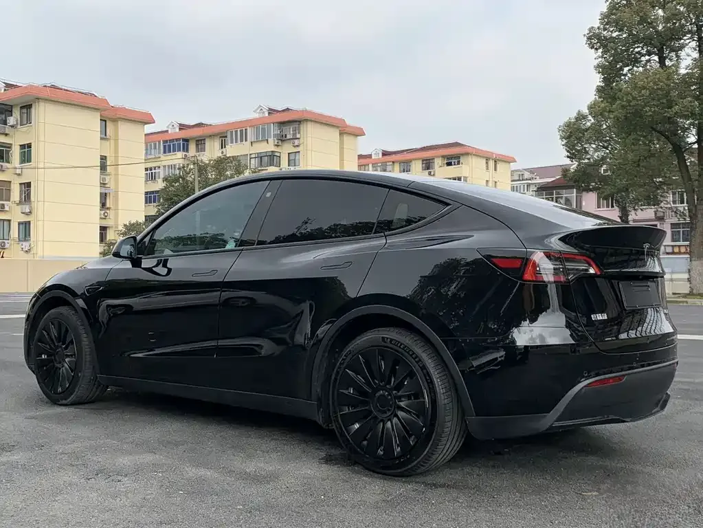 Tesla Model Y — фото 10