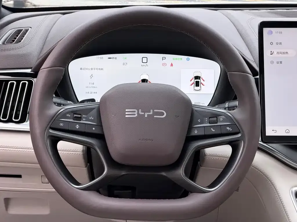 BYD PLUS New Energy — фото 2