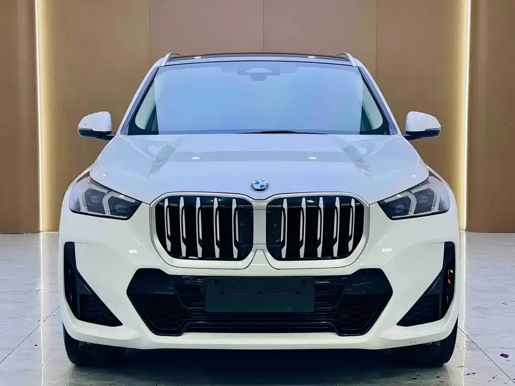 BMW X1 — фото 2
