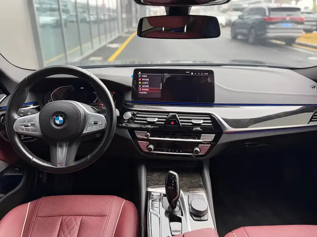 BMW 5 Series 2023 из CN, фото 7