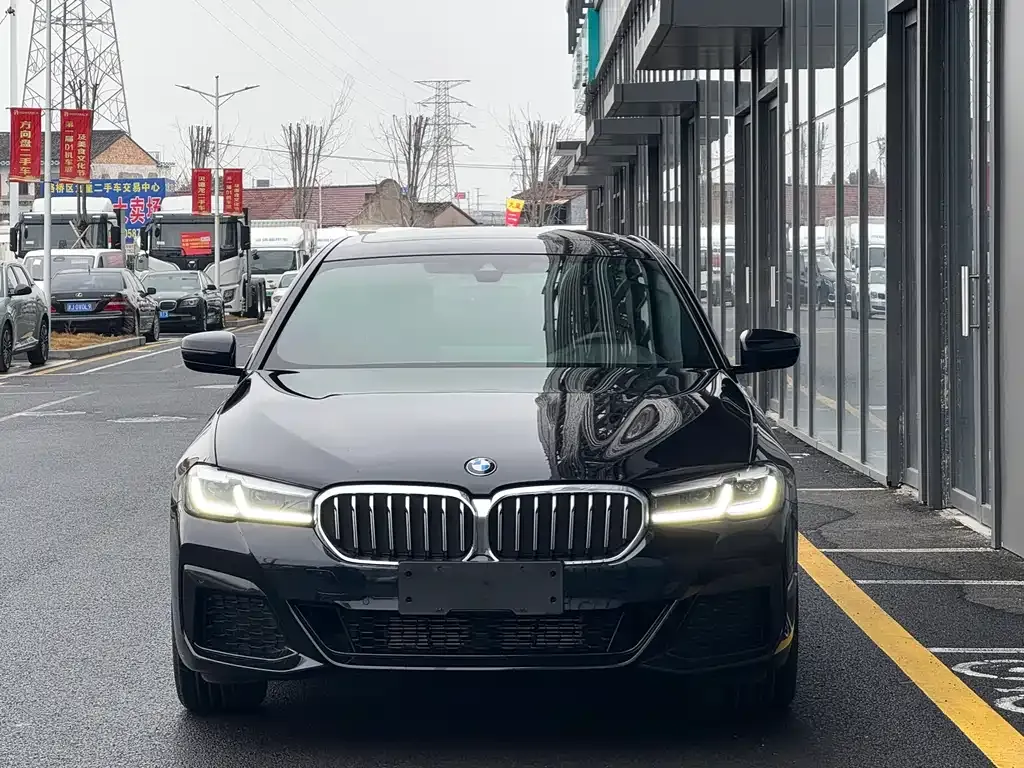 BMW 5 Series 2023 из CN, фото 6