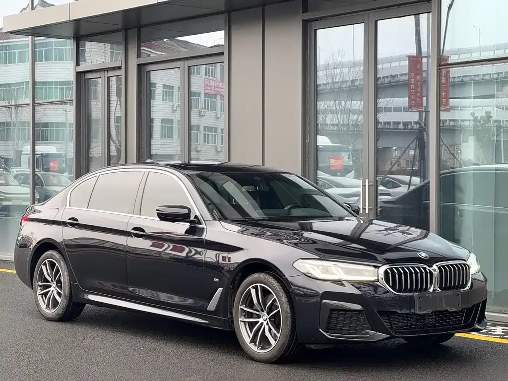 BMW 5 Series 2023 из CN, фото 4