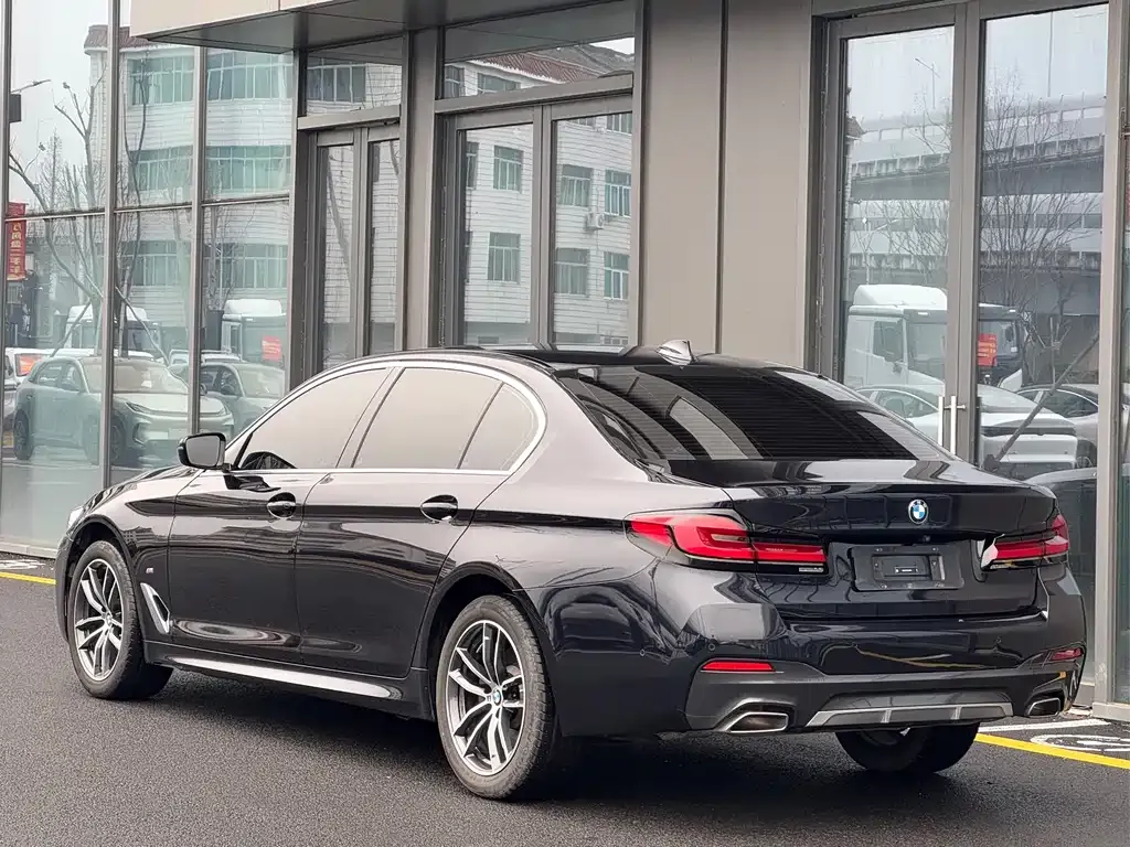 BMW 5 Series 2023 из CN, фото 5