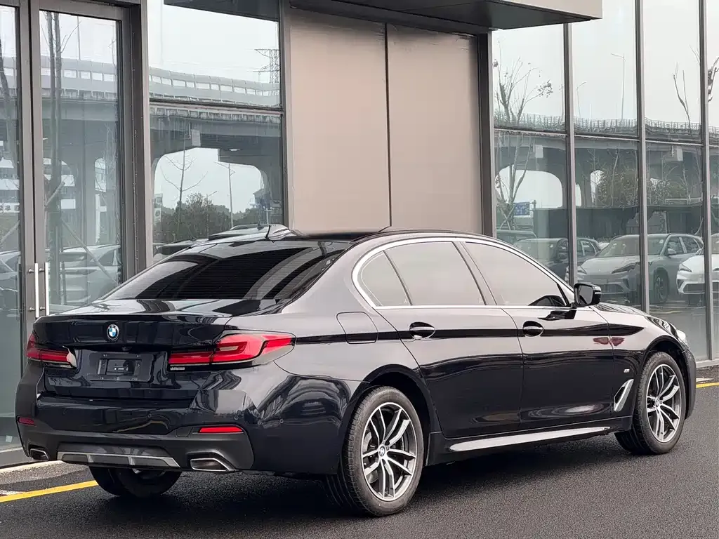 BMW 5 Series 2023 из CN, фото 9