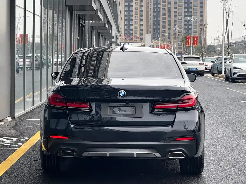 BMW 5 Series 2023 из CN, фото 10