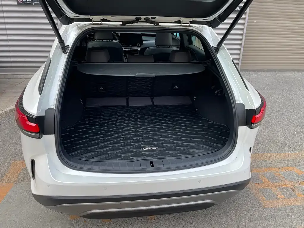 Lexus RX — фото 10