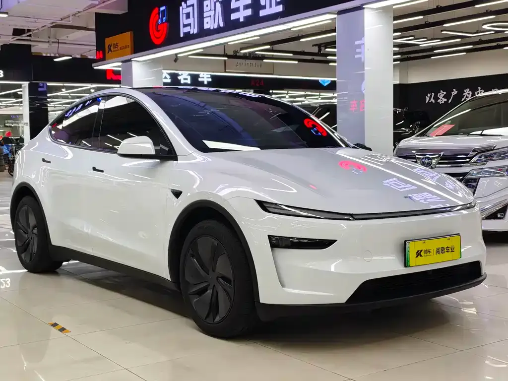 Tesla Model Y — фото 6