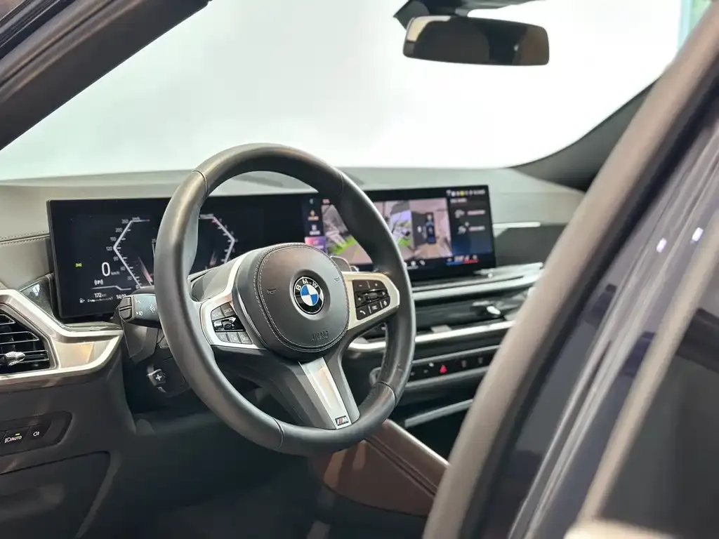 BMW X6 2025 из CN, фото 9