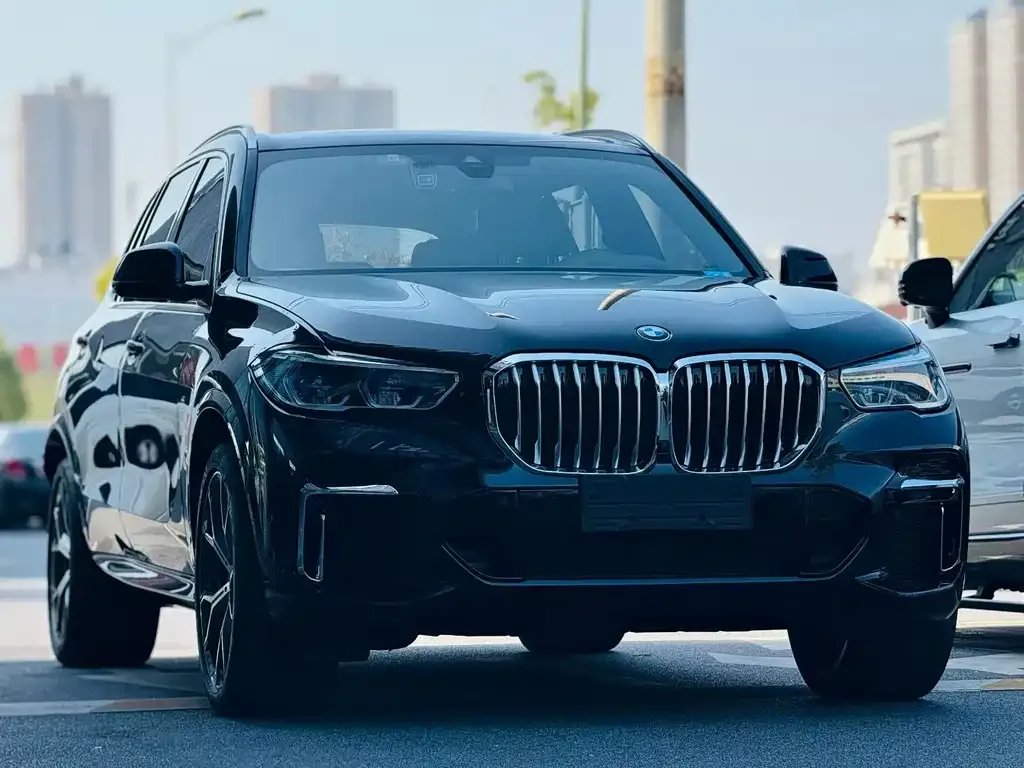 BMW X5 2023 из CN, фото 6
