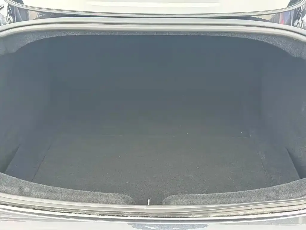 Tesla Model 3 2025 из CN, фото 3