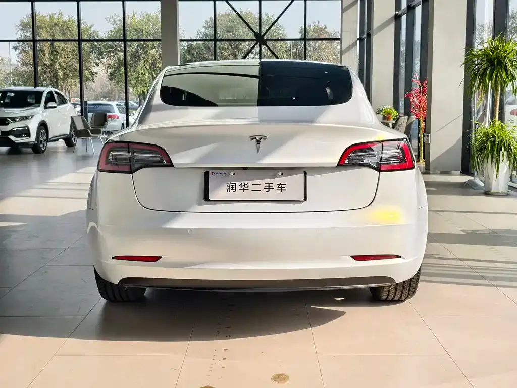Tesla Model 3 2023 из CN, фото 10