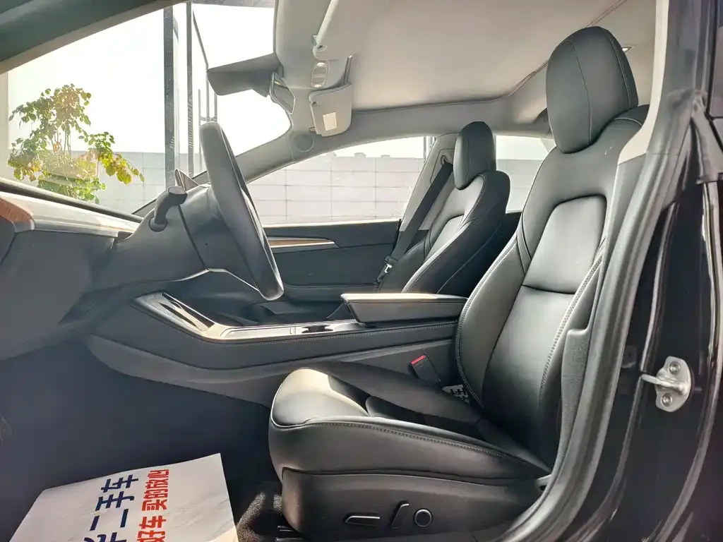 Tesla Model 3 2023 из CN, фото 7