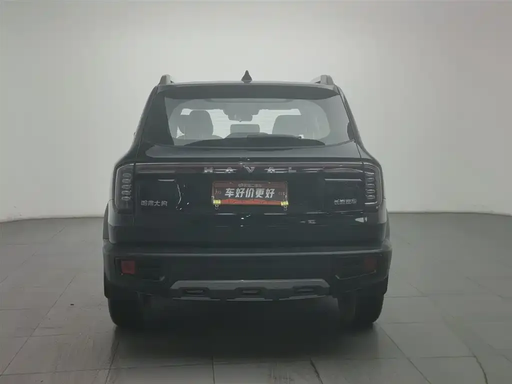 Haval Big Dog 2024 из CN, фото 5