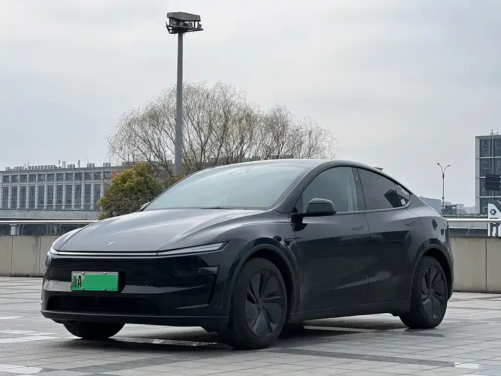 Tesla Model Y 2025 из CN, фото 1