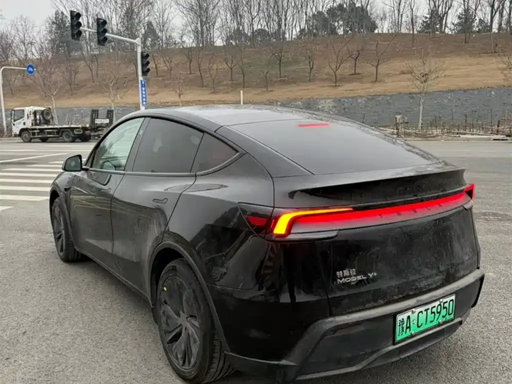 Tesla Model Y — фото 3