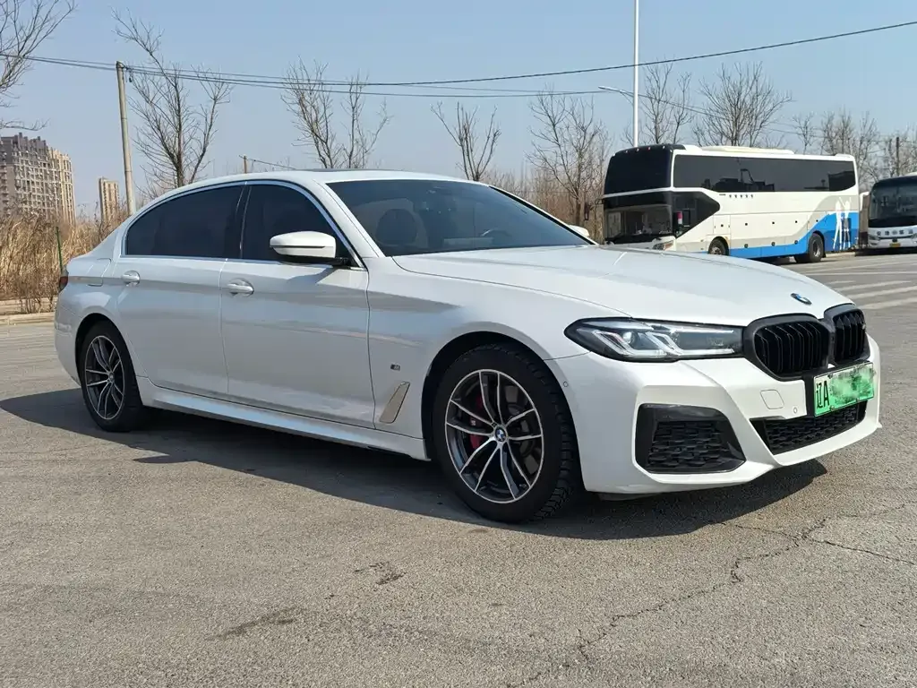 BMW 5 Series New Energy 2021 из CN, фото 7